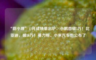 “蔚小理”11月成绩单出炉：小鹏首破3万！比亚迪，破50万！赛力斯、小米汽车也公布了