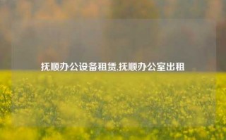 抚顺办公设备租赁,抚顺办公室出租