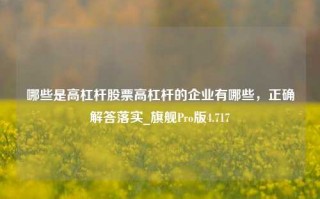 哪些是高杠杆股票高杠杆的企业有哪些，正确解答落实_旗舰Pro版4.717