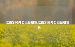 淮南乐彩办公设备租赁,淮南乐彩办公设备租赁中心