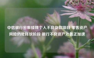 中信银行密集挂牌个人不良贷款项目 零售资产风险仍处释放阶段 银行不良资产处置正加速