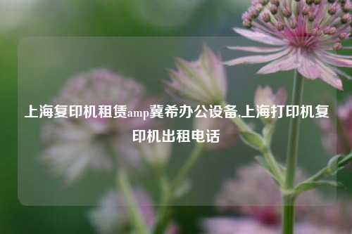 上海复印机租赁amp冀希办公设备,上海打印机复印机出租电话-第1张图片-合肥慧帆商贸有限公司