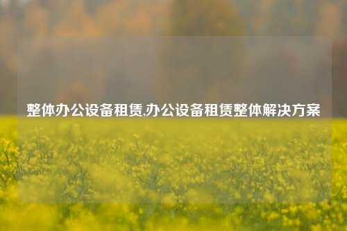 整体办公设备租赁,办公设备租赁整体解决方案-第1张图片-合肥慧帆商贸有限公司