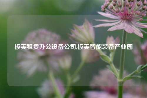 板芙租赁办公设备公司,板芙智能装备产业园-第1张图片-合肥慧帆商贸有限公司