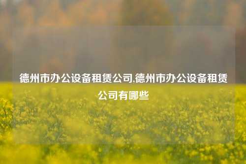 德州市办公设备租赁公司,德州市办公设备租赁公司有哪些-第1张图片-合肥慧帆商贸有限公司