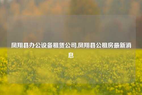 凤翔县办公设备租赁公司,凤翔县公租房最新消息-第1张图片-合肥慧帆商贸有限公司