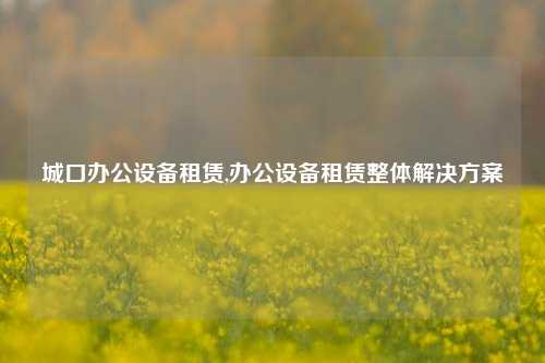 城口办公设备租赁,办公设备租赁整体解决方案-第1张图片-合肥慧帆商贸有限公司