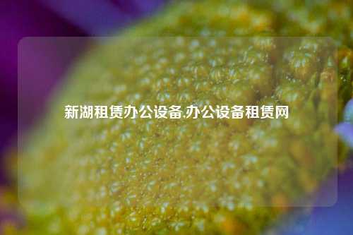 新湖租赁办公设备,办公设备租赁网-第1张图片-合肥慧帆商贸有限公司