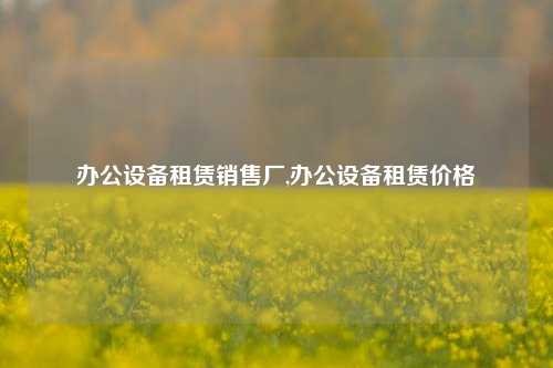 办公设备租赁销售厂,办公设备租赁价格-第1张图片-合肥慧帆商贸有限公司