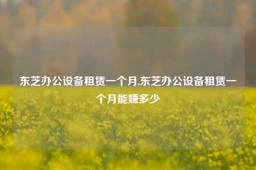 东芝办公设备租赁一个月,东芝办公设备租赁一个月能赚多少-第1张图片-合肥慧帆商贸有限公司