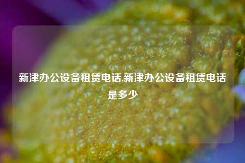 新津办公设备租赁电话,新津办公设备租赁电话是多少-第1张图片-合肥慧帆商贸有限公司