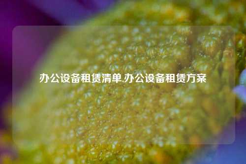 办公设备租赁清单,办公设备租赁方案-第1张图片-合肥慧帆商贸有限公司