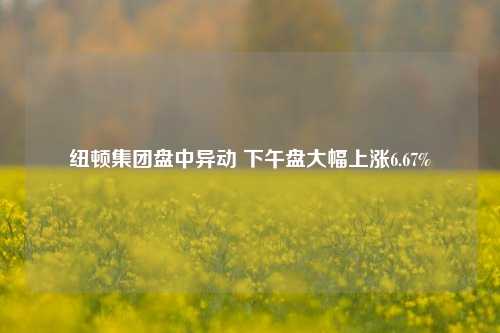 纽顿集团盘中异动 下午盘大幅上涨6.67%-第1张图片-合肥慧帆商贸有限公司