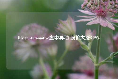 Rivian Automotive盘中异动 股价大涨5.29%-第1张图片-合肥慧帆商贸有限公司