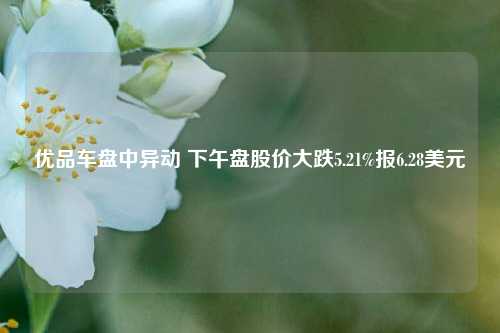 优品车盘中异动 下午盘股价大跌5.21%报6.28美元-第1张图片-合肥慧帆商贸有限公司