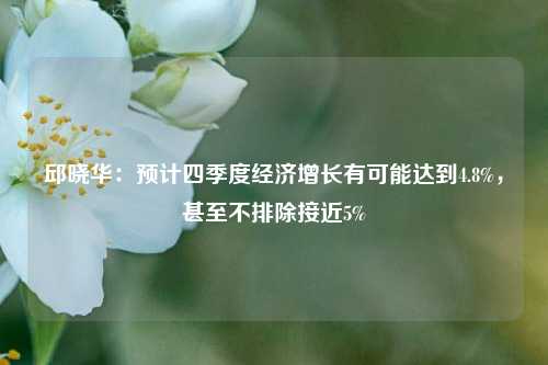 邱晓华：预计四季度经济增长有可能达到4.8%，甚至不排除接近5%-第1张图片-合肥慧帆商贸有限公司