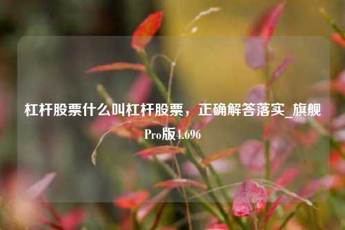 杠杆股票什么叫杠杆股票，正确解答落实_旗舰Pro版4.696-第1张图片-合肥慧帆商贸有限公司