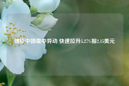 理臣中国盘中异动 快速拉升5.27%报2.15美元-第1张图片-合肥慧帆商贸有限公司