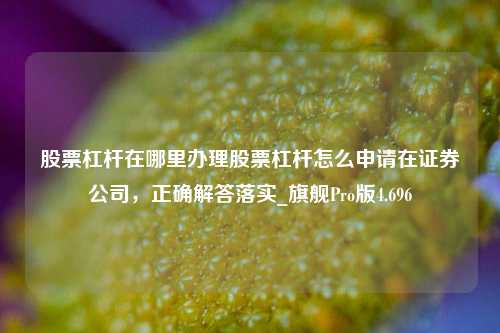 股票杠杆在哪里办理股票杠杆怎么申请在证券公司，正确解答落实_旗舰Pro版4.696-第1张图片-合肥慧帆商贸有限公司