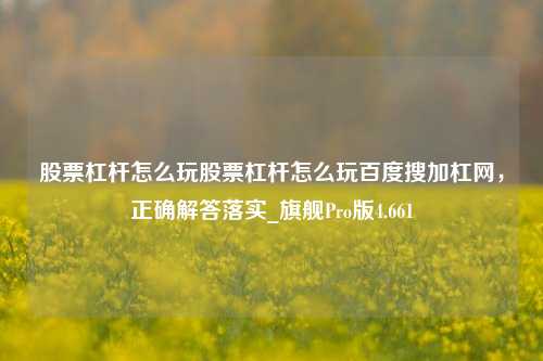 股票杠杆怎么玩股票杠杆怎么玩百度搜加杠网，正确解答落实_旗舰Pro版4.661-第1张图片-合肥慧帆商贸有限公司