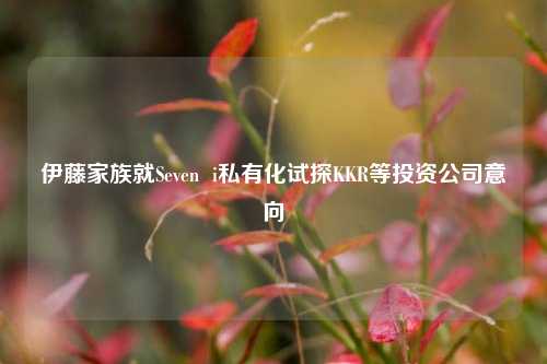 伊藤家族就Seven  i私有化试探KKR等投资公司意向-第1张图片-合肥慧帆商贸有限公司