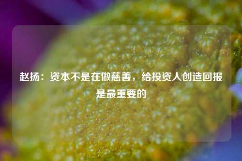 赵扬：资本不是在做慈善，给投资人创造回报是最重要的-第1张图片-合肥慧帆商贸有限公司