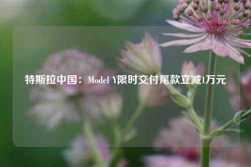 特斯拉中国：Model Y限时交付尾款立减1万元-第1张图片-合肥慧帆商贸有限公司