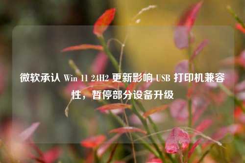 微软承认 Win 11 24H2 更新影响 USB 打印机兼容性，暂停部分设备升级-第1张图片-合肥慧帆商贸有限公司