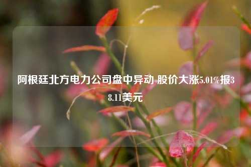 阿根廷北方电力公司盘中异动 股价大涨5.01%报38.11美元-第1张图片-合肥慧帆商贸有限公司