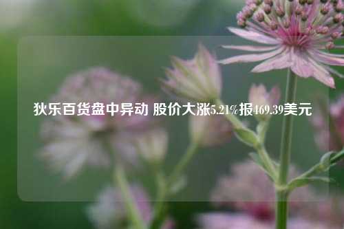 狄乐百货盘中异动 股价大涨5.21%报469.39美元-第1张图片-合肥慧帆商贸有限公司