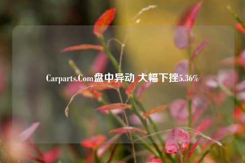 Carparts.Com盘中异动 大幅下挫5.36%-第1张图片-合肥慧帆商贸有限公司