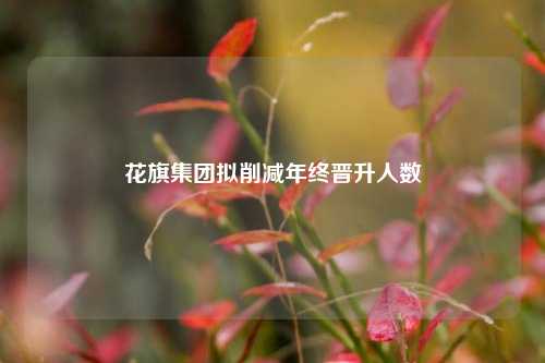 花旗集团拟削减年终晋升人数-第1张图片-合肥慧帆商贸有限公司