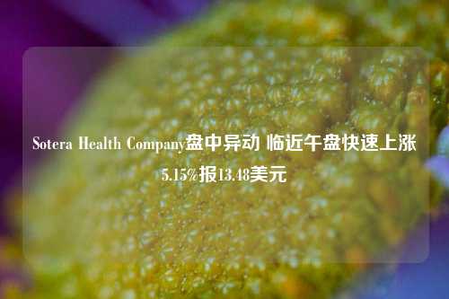 Sotera Health Company盘中异动 临近午盘快速上涨5.15%报13.48美元-第1张图片-合肥慧帆商贸有限公司