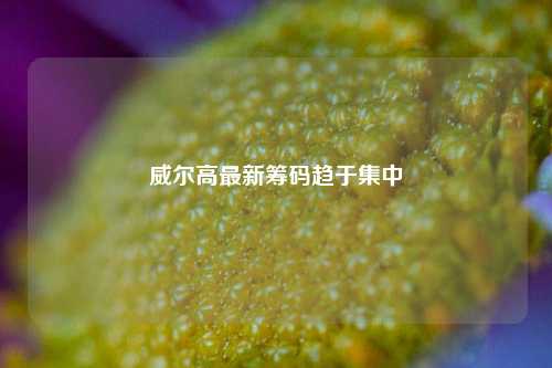 威尔高最新筹码趋于集中-第1张图片-合肥慧帆商贸有限公司