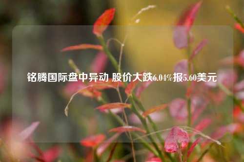 铭腾国际盘中异动 股价大跌6.04%报5.60美元-第1张图片-合肥慧帆商贸有限公司