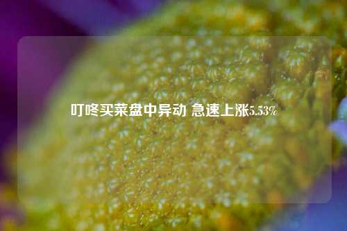 叮咚买菜盘中异动 急速上涨5.53%-第1张图片-合肥慧帆商贸有限公司