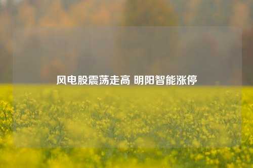 风电股震荡走高 明阳智能涨停-第1张图片-合肥慧帆商贸有限公司