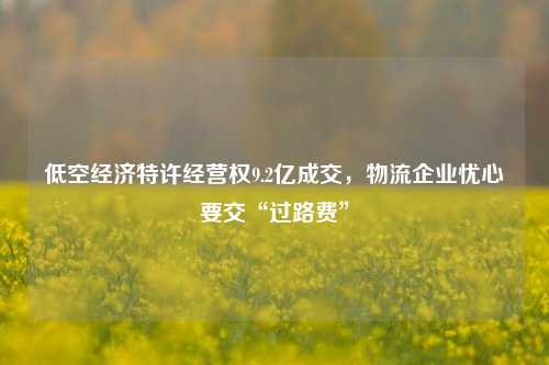 低空经济特许经营权9.2亿成交，物流企业忧心要交“过路费”-第1张图片-合肥慧帆商贸有限公司