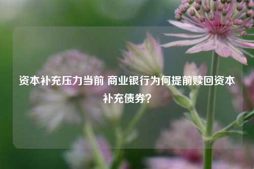 资本补充压力当前 商业银行为何提前赎回资本补充债券？-第1张图片-合肥慧帆商贸有限公司