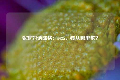 张斌对话陆铭：2025，钱从哪里来？-第1张图片-合肥慧帆商贸有限公司