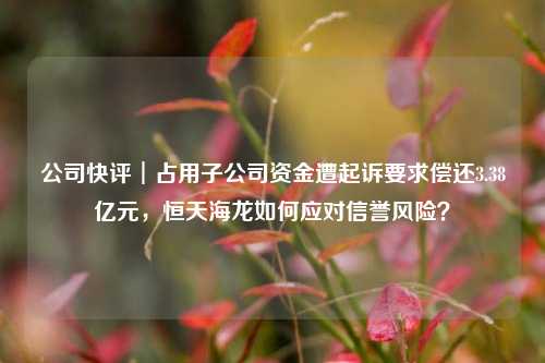 公司快评︱占用子公司资金遭起诉要求偿还3.38亿元，恒天海龙如何应对信誉风险？-第1张图片-合肥慧帆商贸有限公司