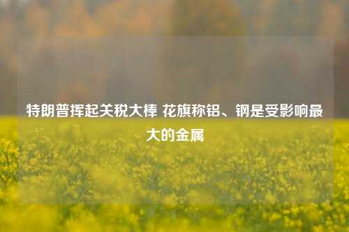 特朗普挥起关税大棒 花旗称铝、钢是受影响最大的金属-第1张图片-合肥慧帆商贸有限公司