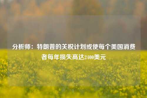 分析师：特朗普的关税计划或使每个美国消费者每年损失高达2400美元-第1张图片-合肥慧帆商贸有限公司