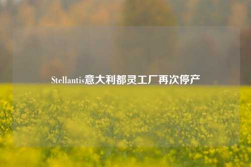 Stellantis意大利都灵工厂再次停产-第1张图片-合肥慧帆商贸有限公司