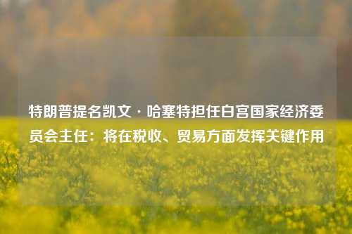 特朗普提名凯文·哈塞特担任白宫国家经济委员会主任：将在税收、贸易方面发挥关键作用-第1张图片-合肥慧帆商贸有限公司