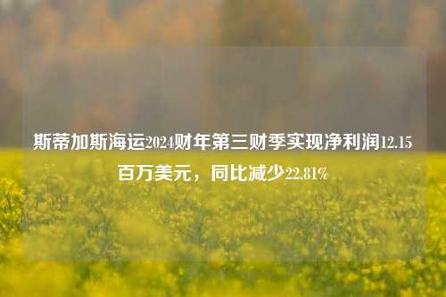 斯蒂加斯海运2024财年第三财季实现净利润12.15百万美元，同比减少22.81%-第1张图片-合肥慧帆商贸有限公司