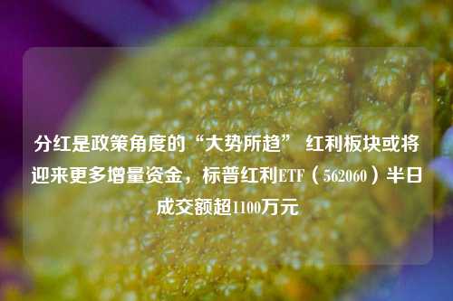 分红是政策角度的“大势所趋” 红利板块或将迎来更多增量资金，标普红利ETF（562060）半日成交额超1100万元-第1张图片-合肥慧帆商贸有限公司