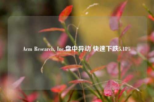 Acm Research, Inc.盘中异动 快速下跌5.18%-第1张图片-合肥慧帆商贸有限公司