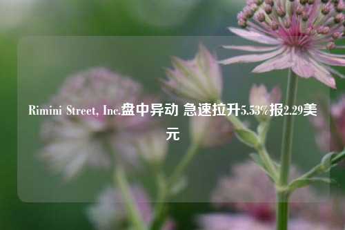 Rimini Street, Inc.盘中异动 急速拉升5.53%报2.29美元-第1张图片-合肥慧帆商贸有限公司