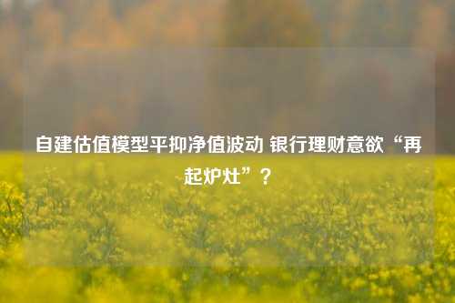 自建估值模型平抑净值波动 银行理财意欲“再起炉灶”？-第1张图片-合肥慧帆商贸有限公司